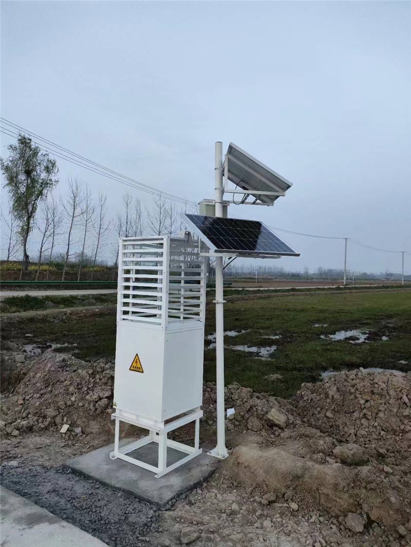 蟲情監測 (2).jpg