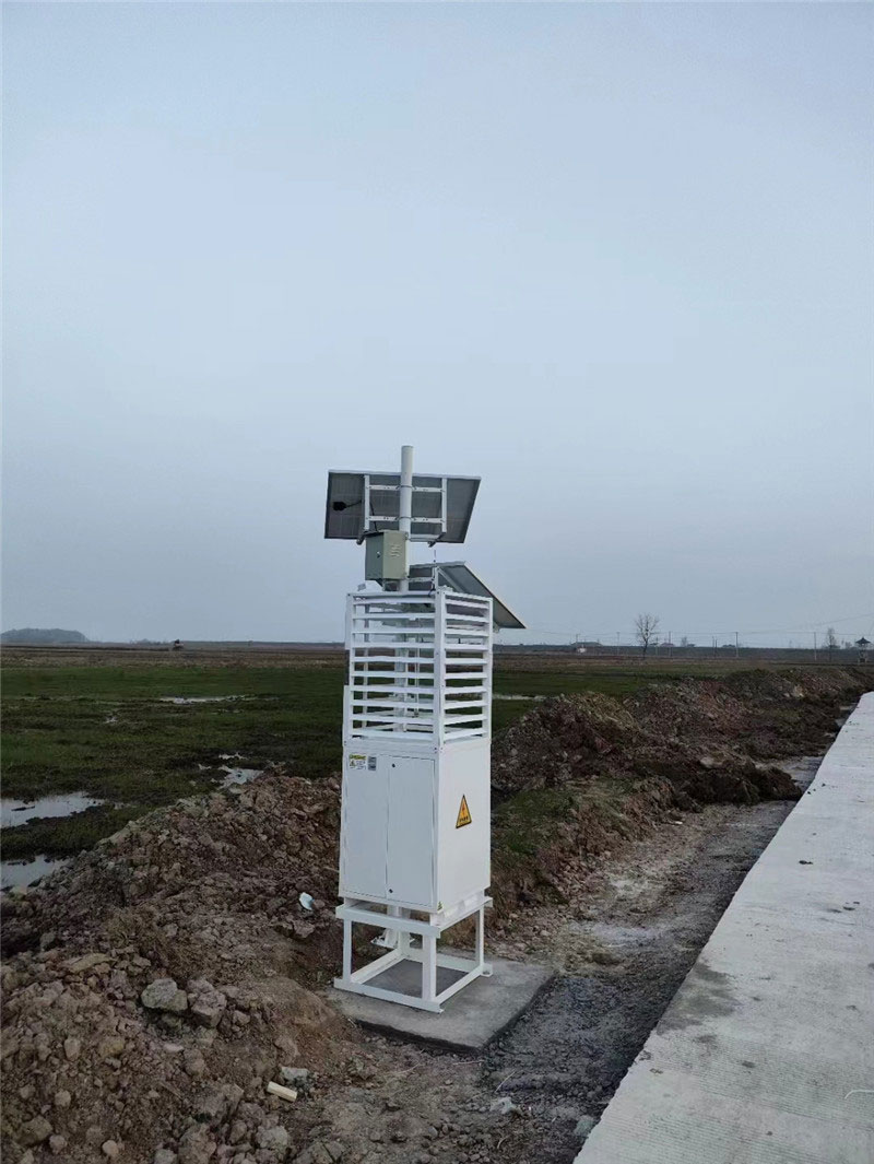 蟲情監測 (3).jpg