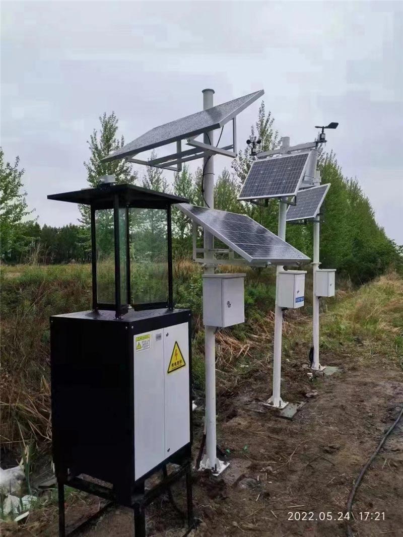 蟲情監測 (4).jpg